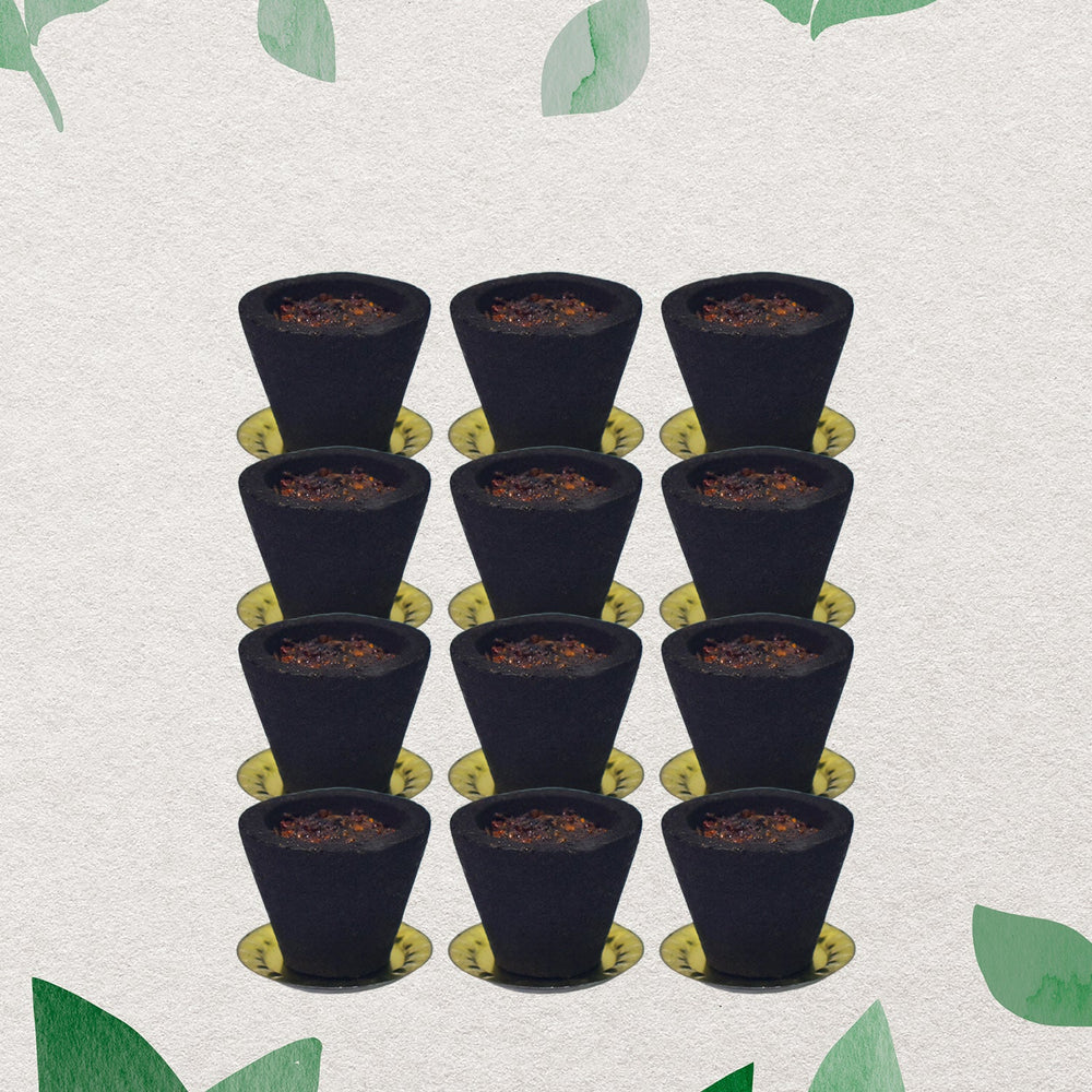Gugal Sambrani Cups – 12 Pc Havan Set for Pooja | Indo Glow