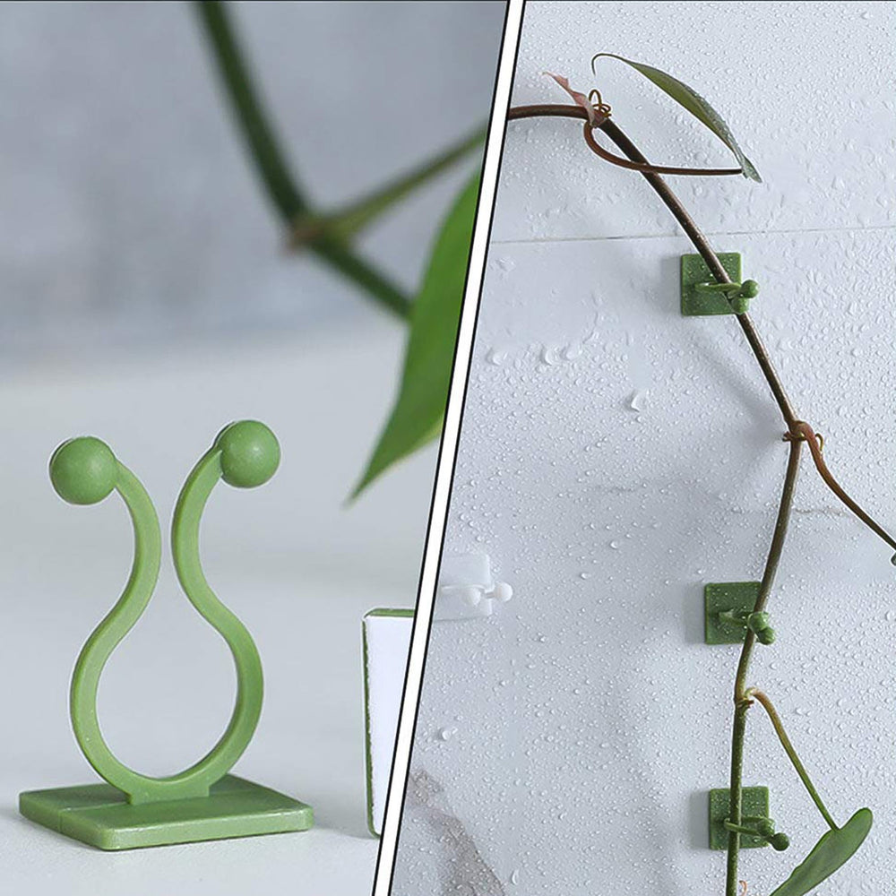 Plant Climbing Clips – Self-Adhesive Wall Support | Grow Vanta