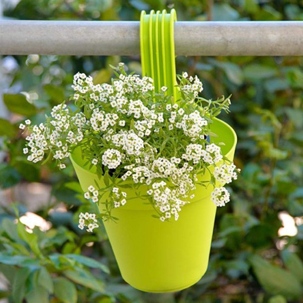 Hanging Planter Pot – Multicolour & UV Protected |